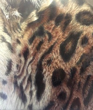leopard-fur